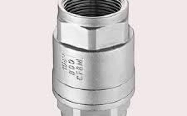 VAN 1 CHIỀU LÒ XO INOX 304 